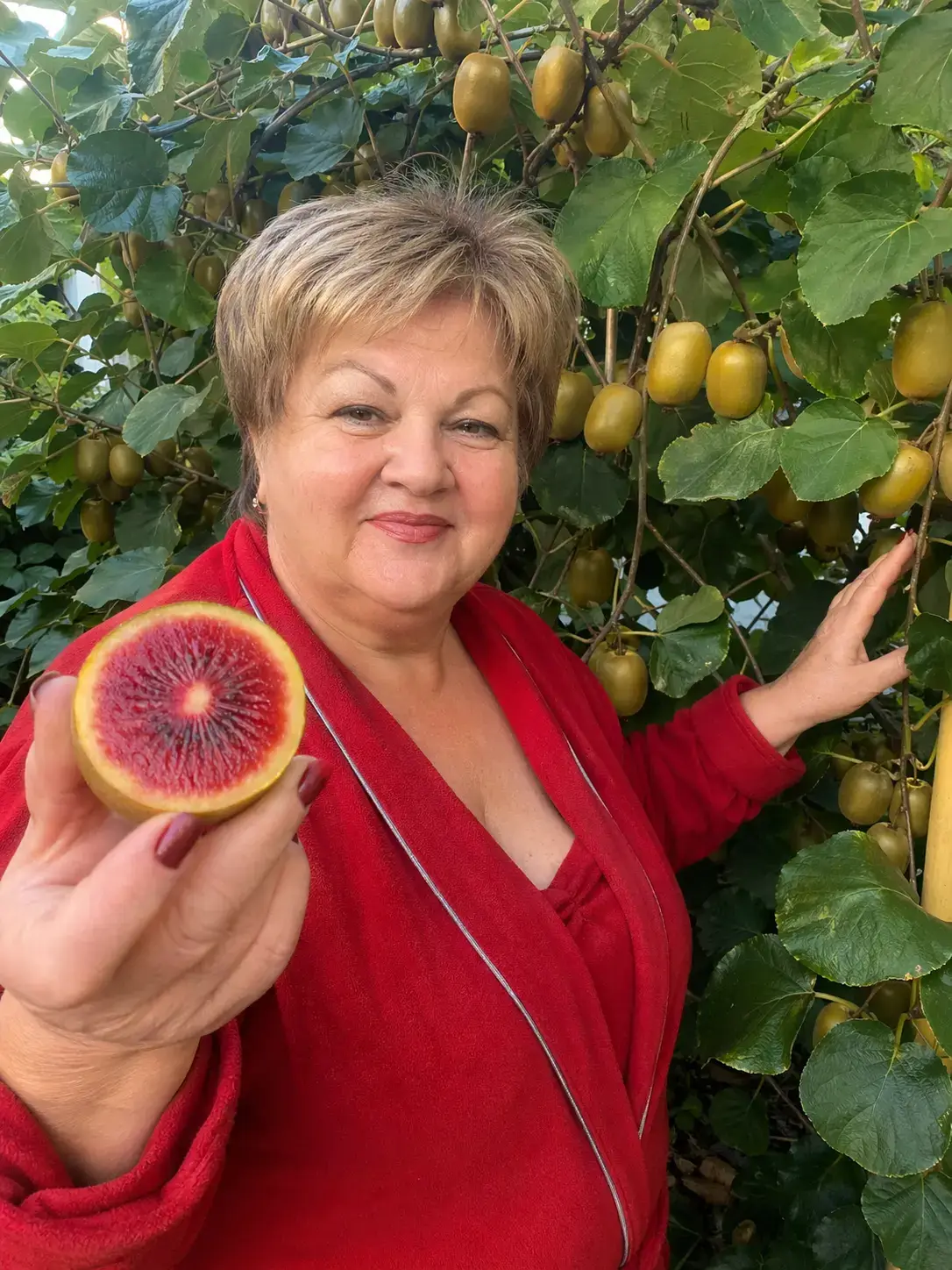 Ківі Золотий Рубін — замовити саджанець